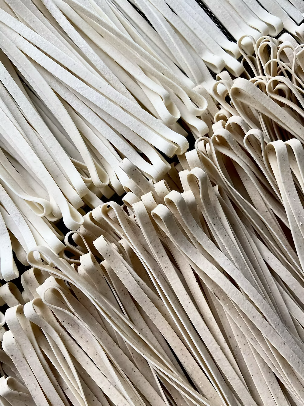 Casarecce - Hand Rolled Fettucine 250g