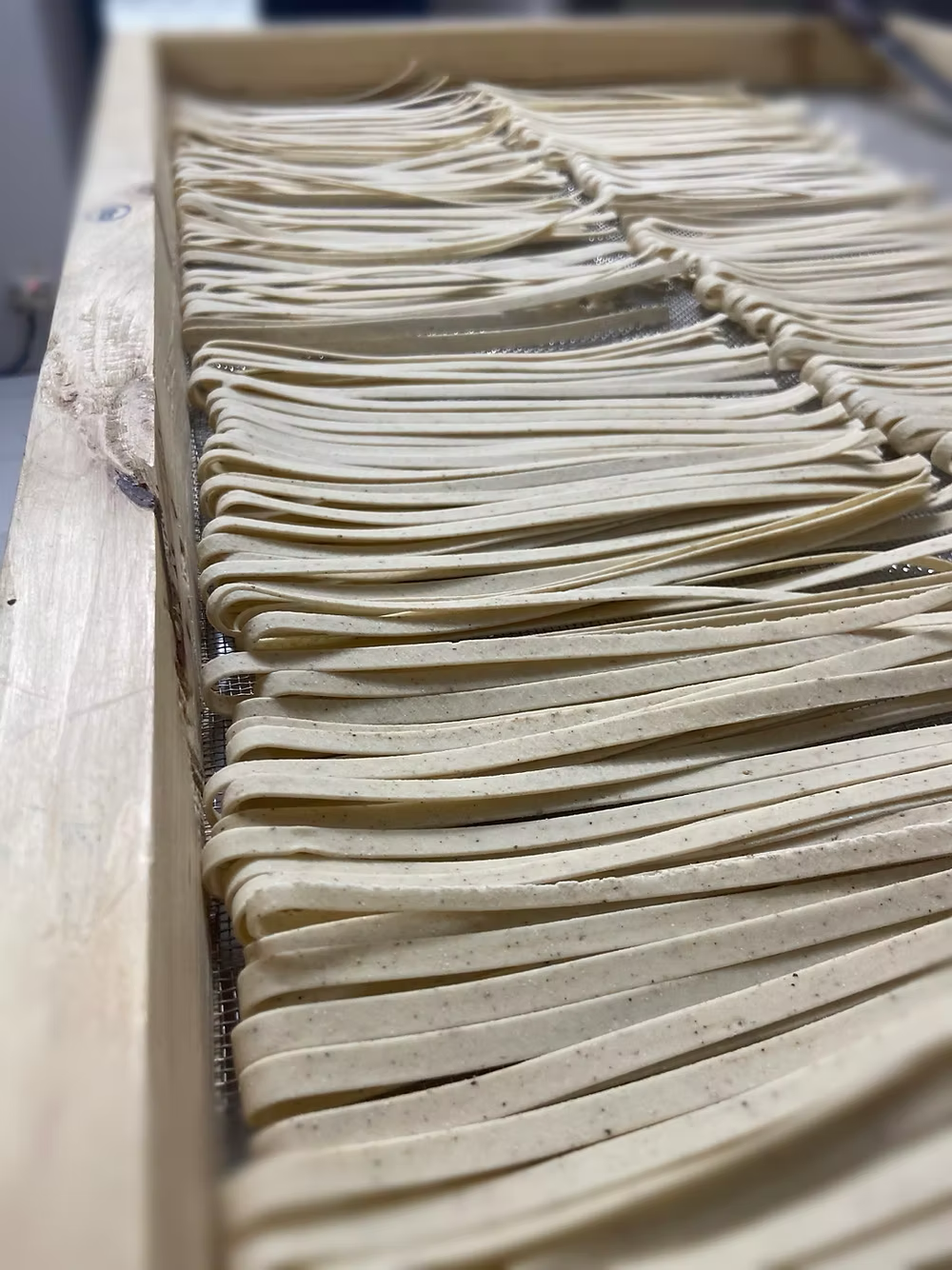 Casarecce - Hand Rolled Fettucine 250g