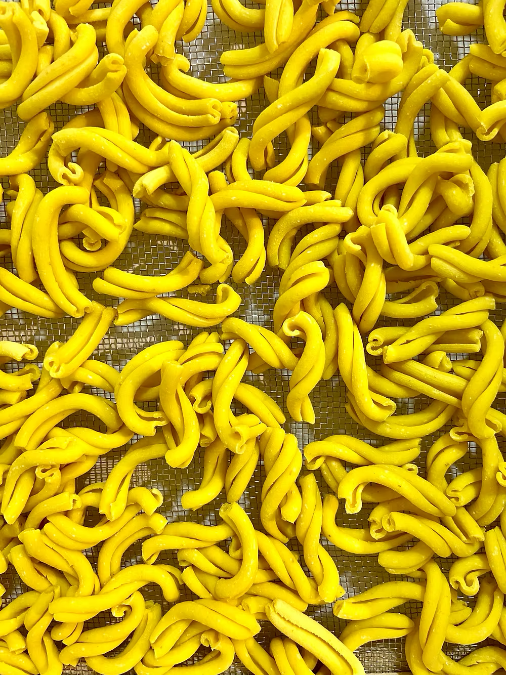 Casarecce - Turmeric Casarecce 250g