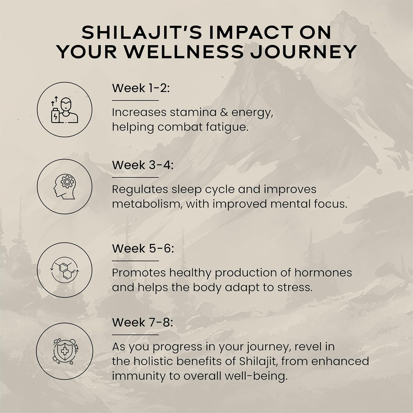 Wellbeing Nutrition Shilajt Gold 10 gm