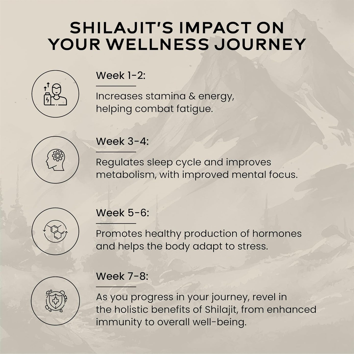 Wellbeing Nutrition Shilajit Silver 10g
