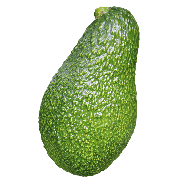 Avocado Hass - New Zealand