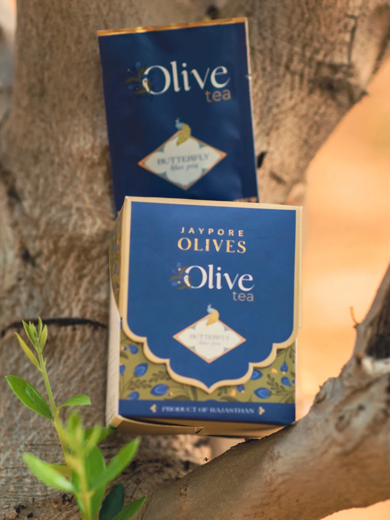 Jaypore Olives - Butterfly Tea