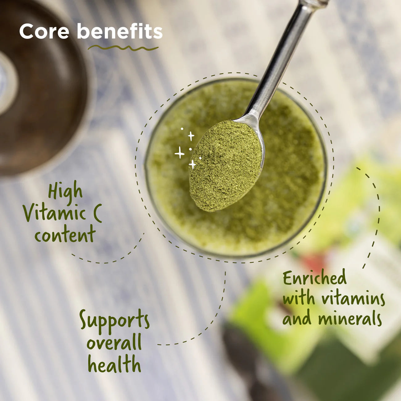 TBOF Moringa Powder 100g