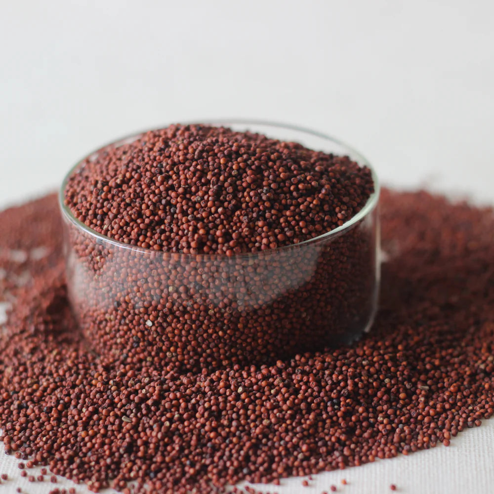Zama Organic Ragi 500g
