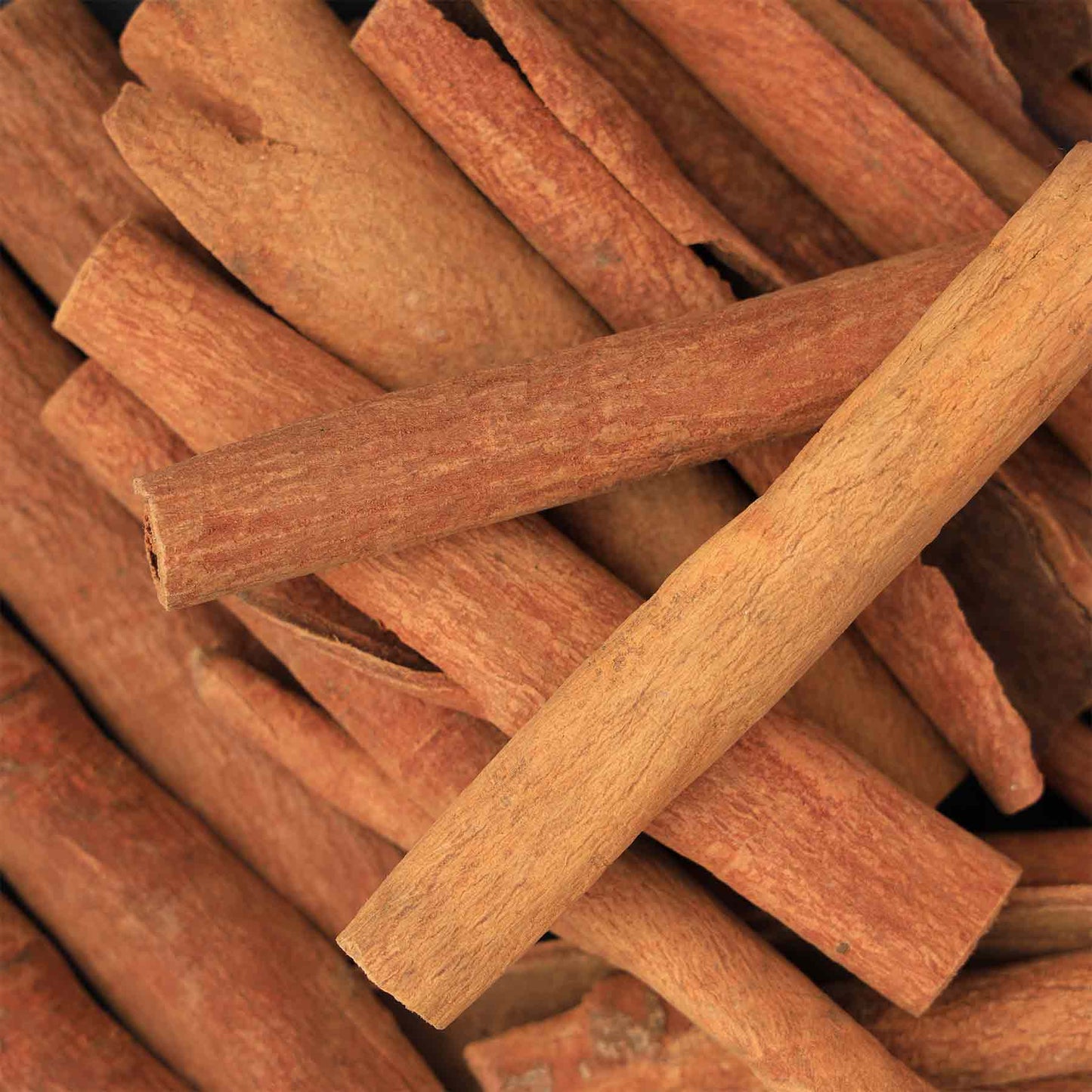 Pahari Roots Cinnamon Sticks