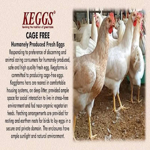 Brown Eggs