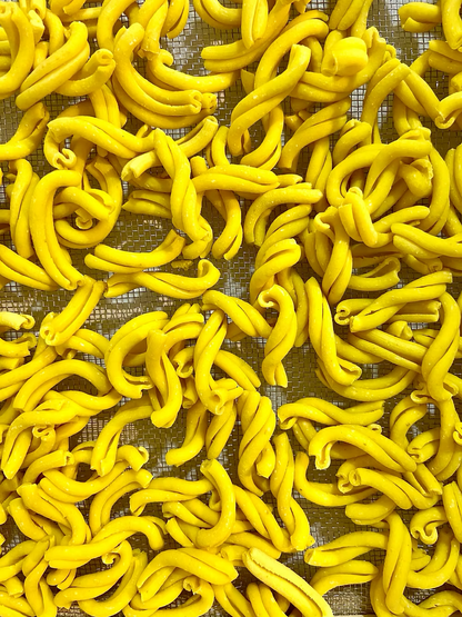 Casarecce - Turmeric Casarecce 250g