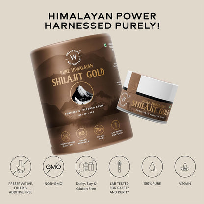 Wellbeing Nutrition Shilajt Gold 10 gm
