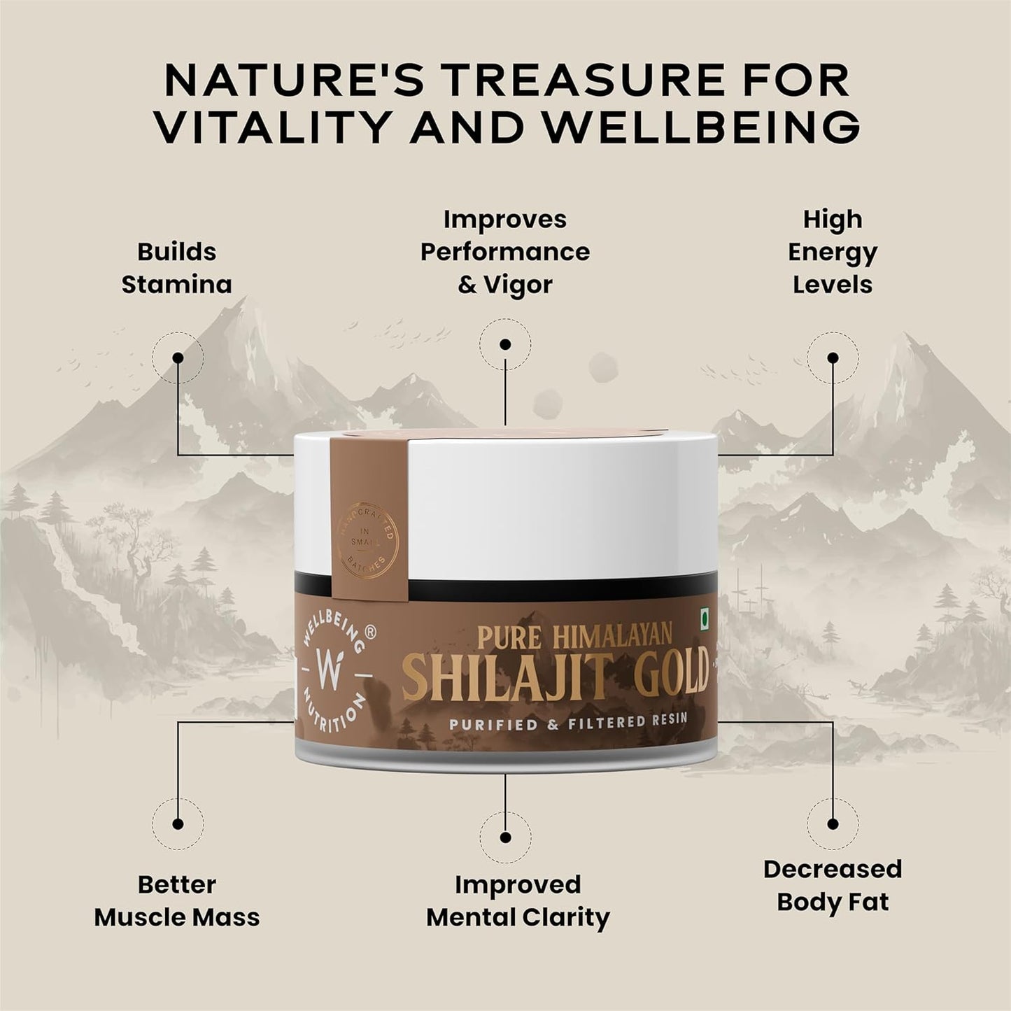 Wellbeing Nutrition Shilajt Gold 10 gm