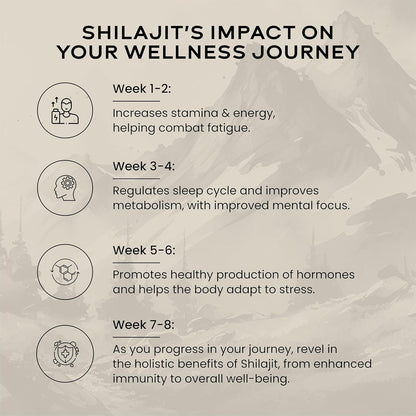 Wellbeing Nutrition Shilajt Gold 10 gm