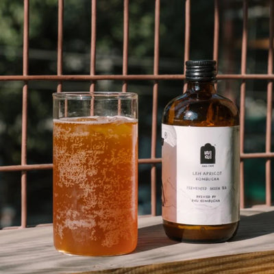 Bhu Kombucha - Ama Leh Apricot 250ml