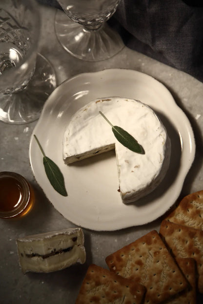 Spotted Cow - Truffle Brie Cheese