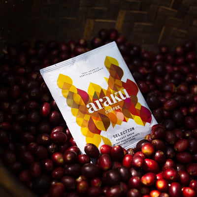 Araku Coffee - Easy Pour Over Sachet