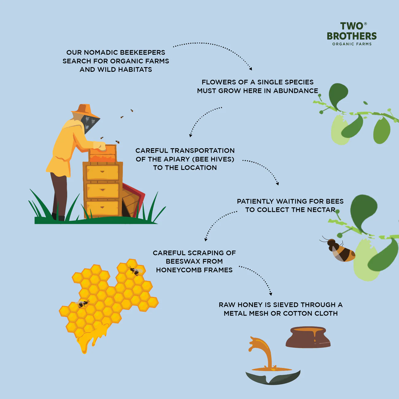 TBOF Ber Tree Honey