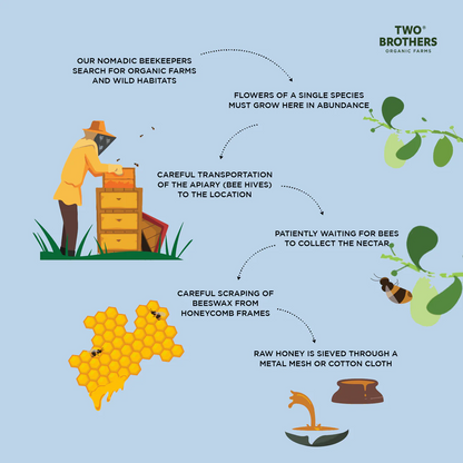 TBOF Ber Tree Honey