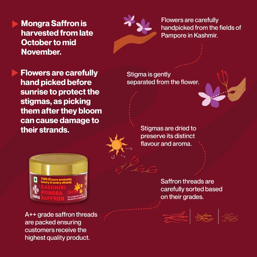 Zama Kashmiri Saffron 1g