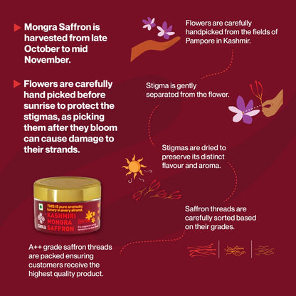 Zama Kashmiri Saffron 1g