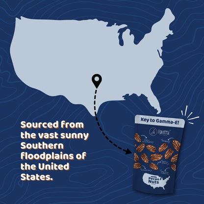 Flyberry - Pecan Nuts 100g