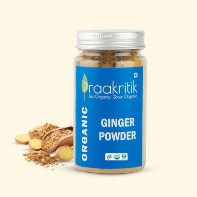 Praakritik Ginger Powder 100g